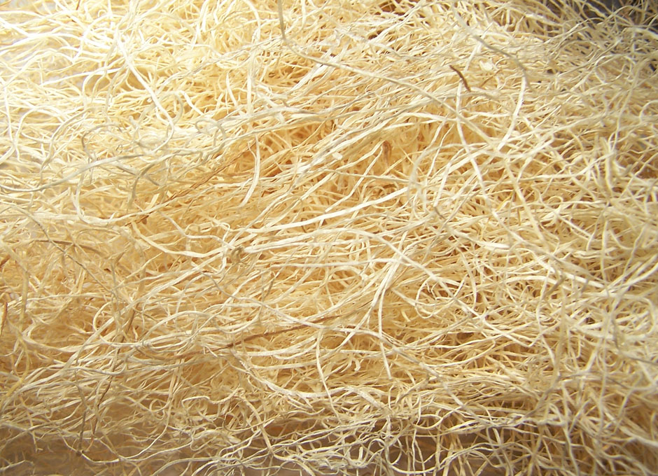 buy aspen fiber